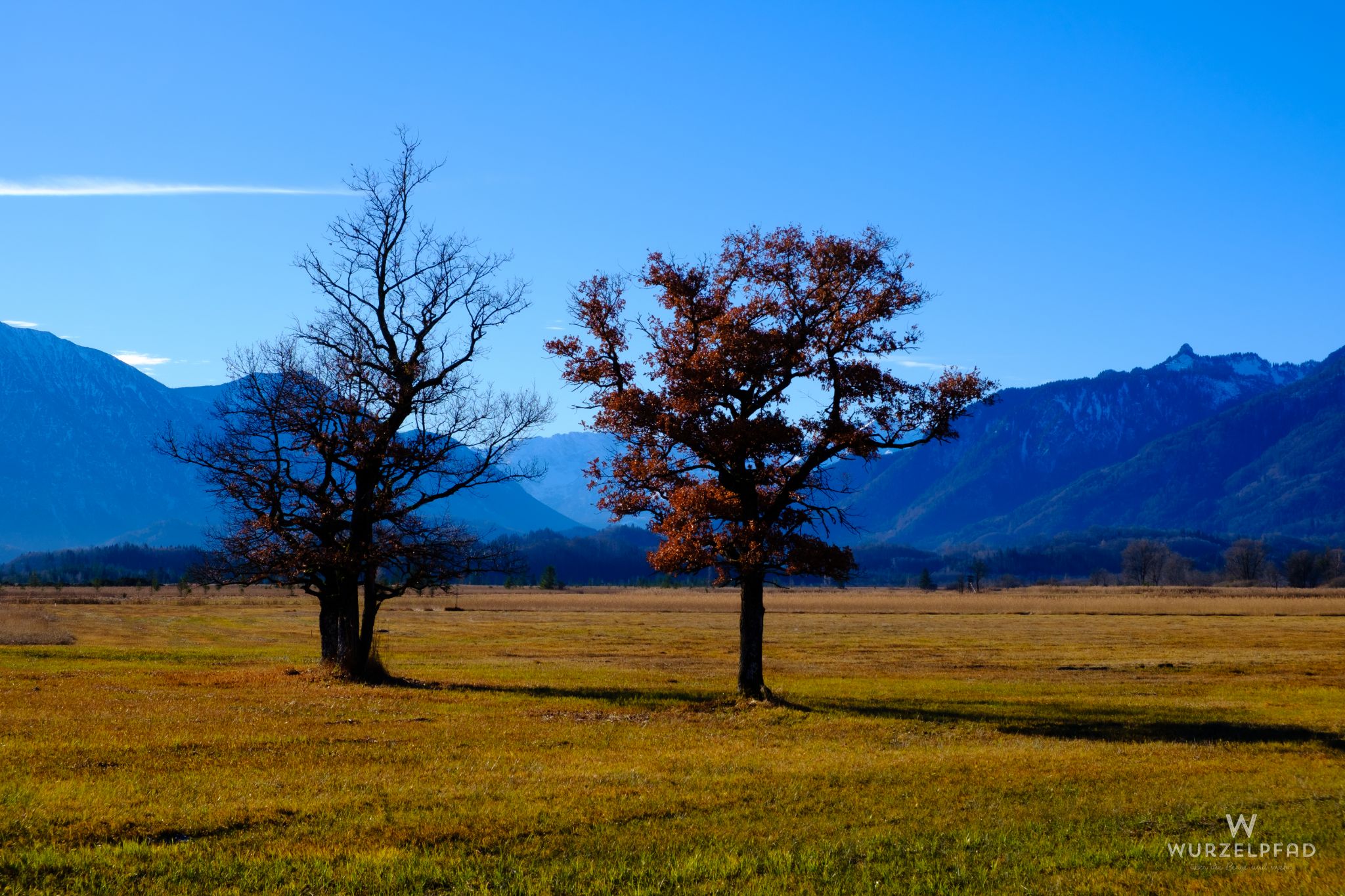 Murnauer Moos Impressionen